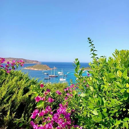 San Teodoro Punta Est Fantastico Trilocale Vista Mare Apartment