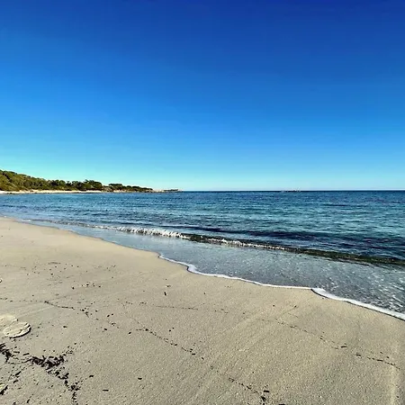 San Teodoro Punta Est Fantastico Trilocale Vista Mare