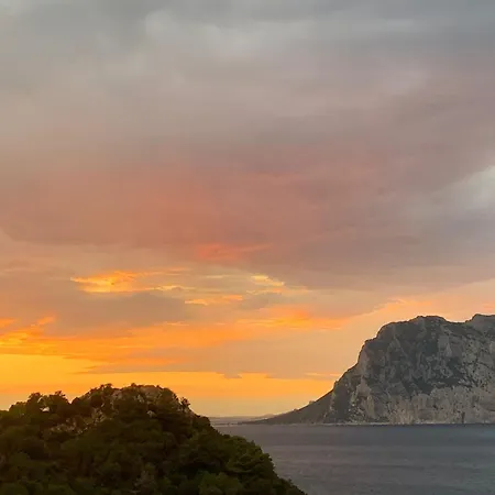 San Teodoro Punta Est Fantastico Trilocale Vista Mare Apartment *