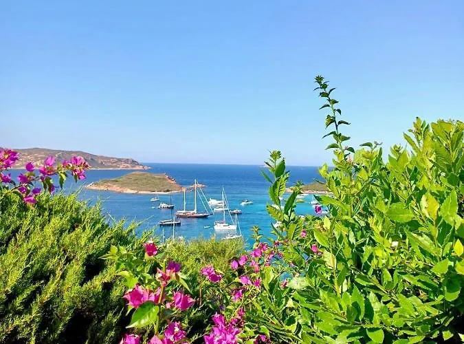 San Teodoro Punta Est Fantastico Trilocale Vista Mare Appartement