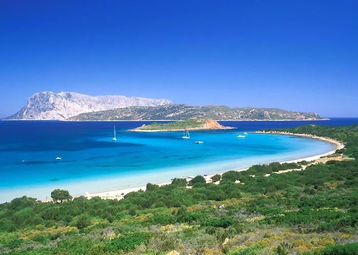 San Teodoro Punta Est Fantastico Trilocale Vista Mare Appartement *